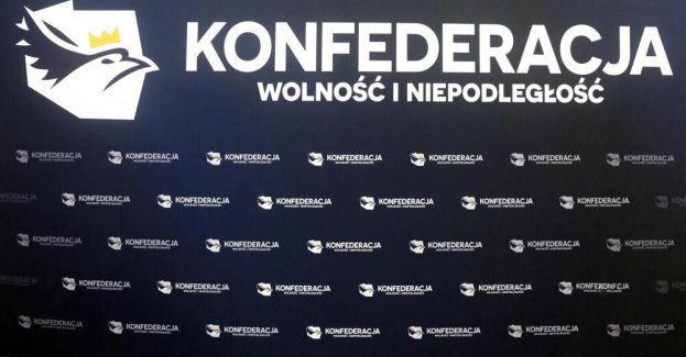 Konfederacja pracuje nad propozycjami reform; chce być gotowa na tworzenie przyszłego rządu