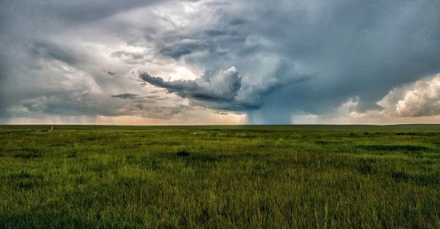 Nawałnica w Gnieźnie; ponad 50 zgłoszeń do PSP