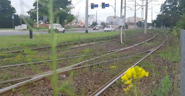 Torywolucja mknie na północ Wrocławia