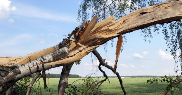 Około 150 zgłoszeń do straży po przejściu gwałtownych burz w Pile