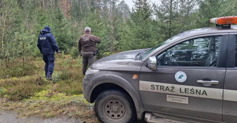 zdjęcie: Kupujesz choinkę? Sprawdź czy pochodzi z legalnego źródła / fot. KPP Wągrowiec