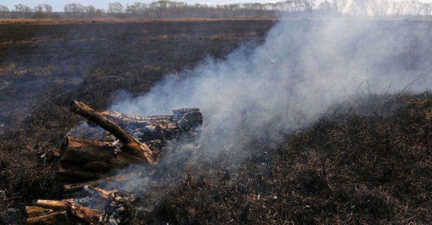 Niebezpieczne wypalanie traw