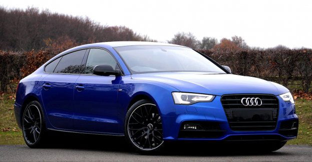 Strażnicy graniczni po pościgu odzyskali audi warte ćwierć miliona złotych