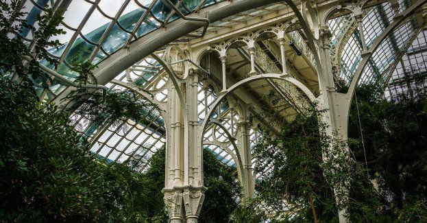 Co dzieje się z zabytkową Palmiarnią w mieście?