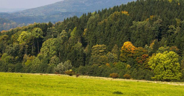Trwa dyskusja o powiększeniu Karkonoskiego Parku Narodowego