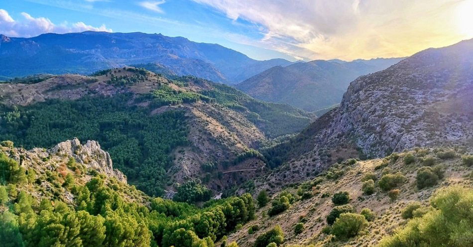 zdjęcie: Andaluzyjskiej krainy czar… / Fot. San Martino Corridore