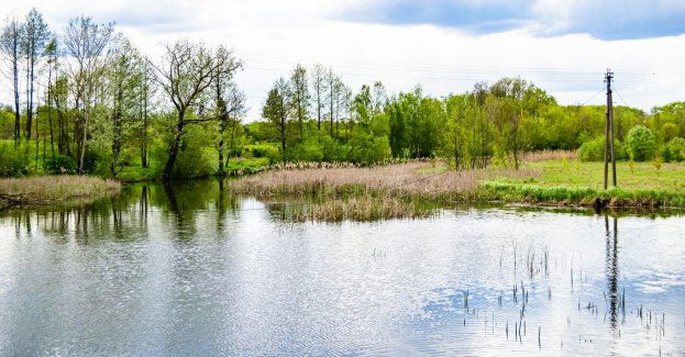 Za około 500 tys. zł skierują wody opadowe do wysychającego stawu