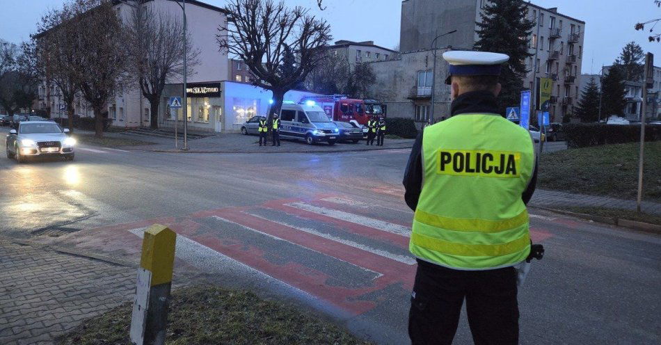 zdjęcie: Policjanci pomogli ubrać choinkę w Jędrzejowie / fot. KPP Jędrzejów