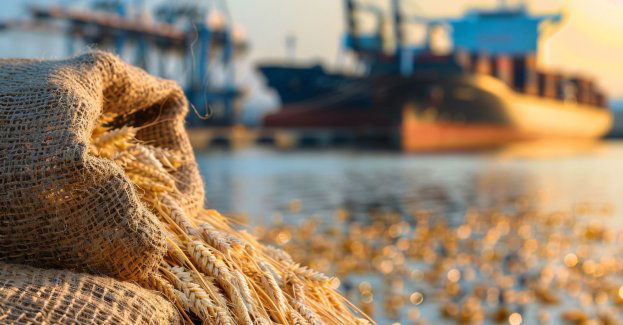 W ciągu I półrocza przez Port Gdańsk wyeksportowano 1,5 mln ton ziarna