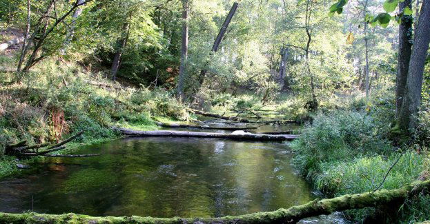 Tuchola nad Brdą i jeziorami