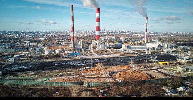 Skończmy z nowymi inwestycjami w spalanie biomasy drzewnej - aktywiści apelują do spółek energetycznych i banków