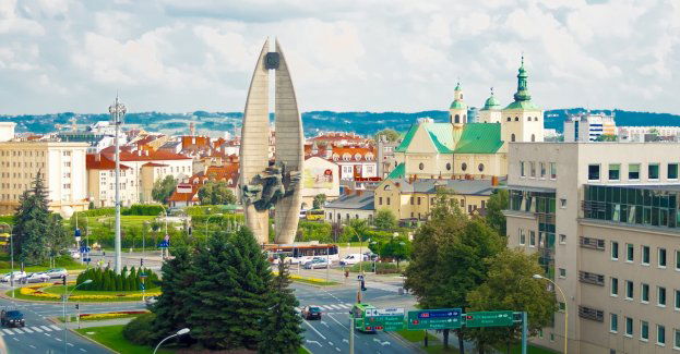 Rzeszowski plan na wiosnę? Sport, kultura, sztuka i… Robert Makłowicz