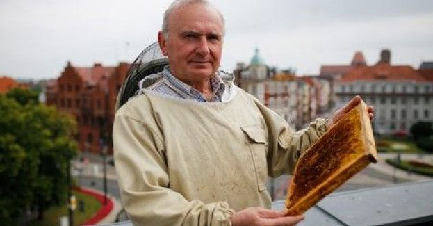 Zebraliśmy miód z marszałkowskiej pasieki