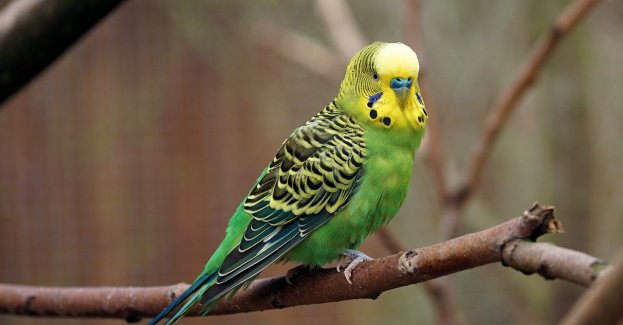 Stołeczne zoo apeluje, by nie strzelać w Sylwestra