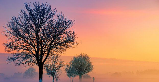 W środę deszcz i śnieg oraz dodatnia temperatura