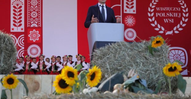 Polski rolnik potrafi oddzielić ziarno od politycznych plew