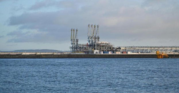 Wieloryb przywleczony do portu przez tankowiec został zatopiony w Bałtyku