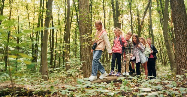 Konar drzewa spadł na wycieczkę szkolną w wąwozie; trzy osoby ranne