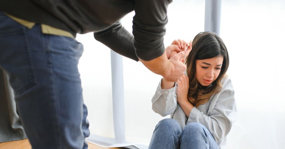 zdjęcie: Przemoc domowa: szkolenia dla przedstawicieli wymiaru sprawiedliwości / v43280693