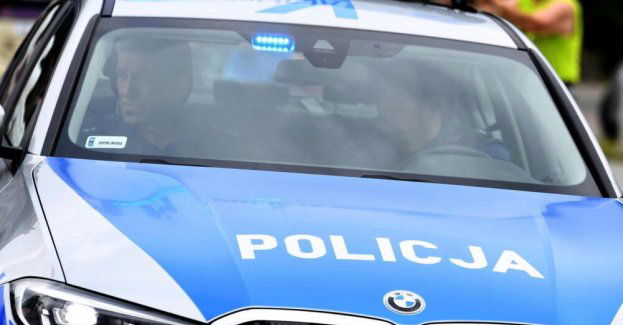 Nietypowa interwencja policji. Mundurowi pilnowali koni