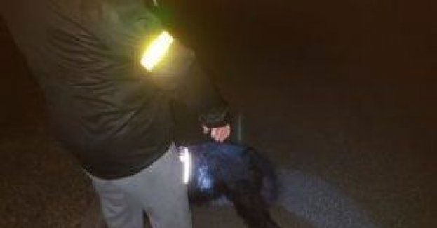 Pieszy i rowerzysta powinien również pamiętać o swoim bezpieczeństwie i zadbać o to, aby być widocznym