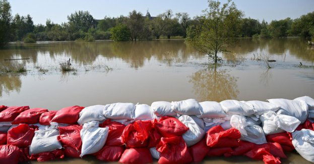 Ponad 19 tys. działek, na których nie powinno być domów