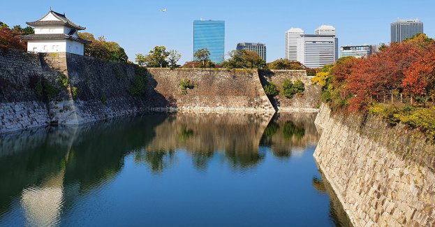 Z fosy miejskiej wyłowiono zwłoki starszego mężczyzny