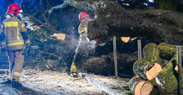 Ponad 400 interwencji związanych ze skutkami silnego wiatru