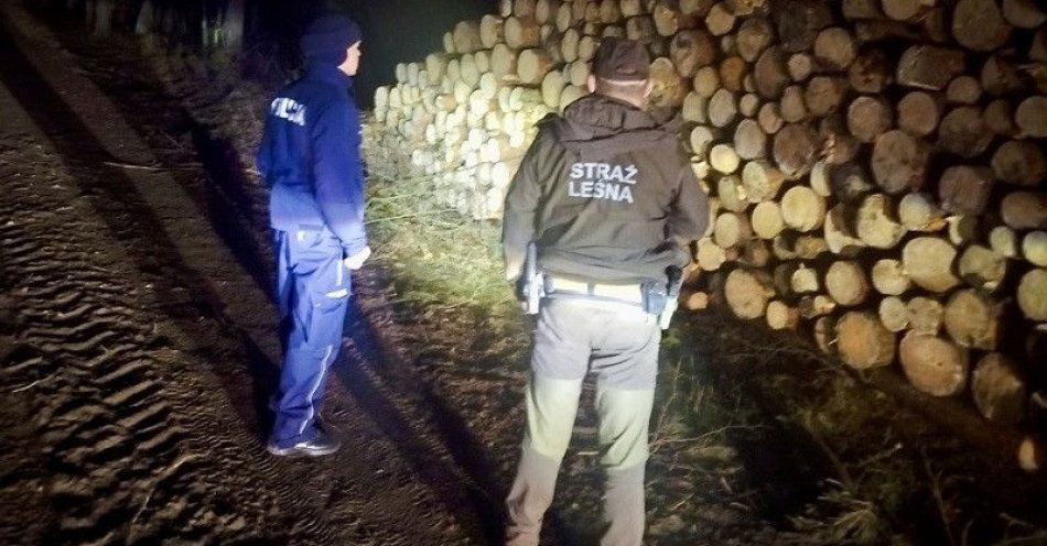 zdjęcie: Patrol leśny i policja chronią lasy przed kradzieżami choinek / fot. KPP w Tczewie