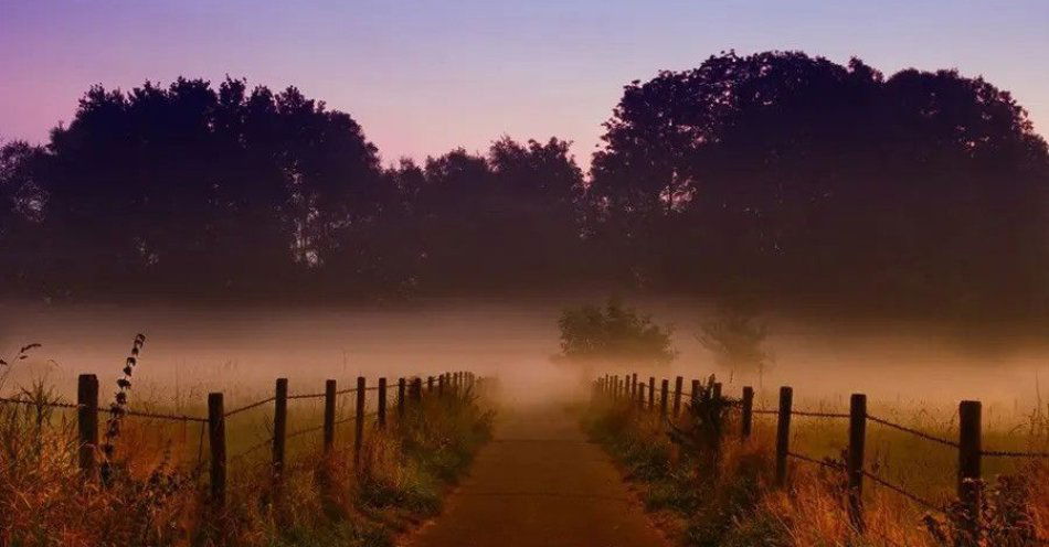 zdjęcie: Na rozstajnych drogach. Opowieści o demonach słowiańskich / kupbilecik24.pl / Na rozstajnych drogach. Opowieści o demonach słowiańskich