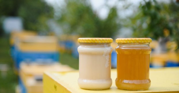30 l miodu z pasieki uniwersytetu trafiło do pacjentów onkologicznych