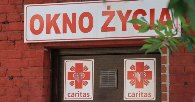 Niemowlę w oknie życia