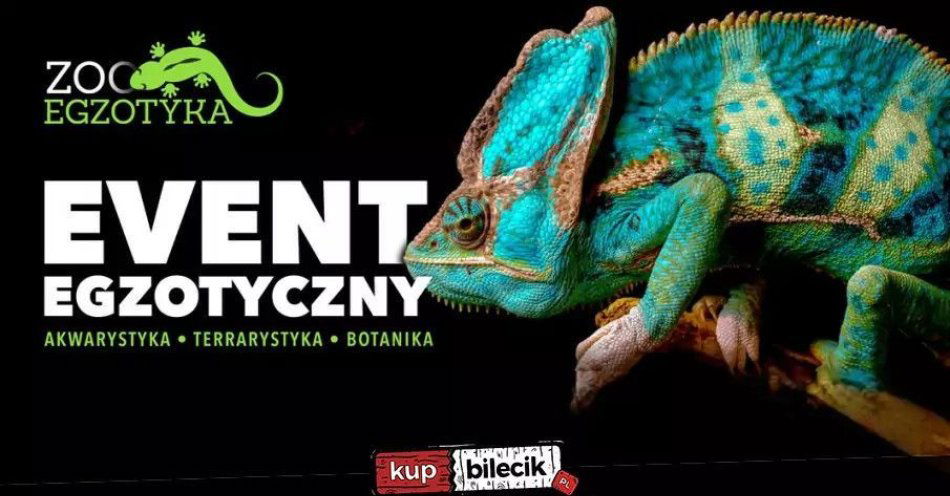 zdjęcie: ZooEgzotyka Wrocław! / kupbilecik24.pl / ZooEgzotyka Wrocław!