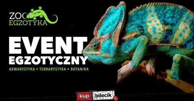 ZooEgzotyka Wrocław!