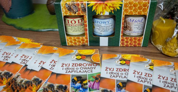 Dotacje dla pszczelarzy to wsparcie bioróżnorodności