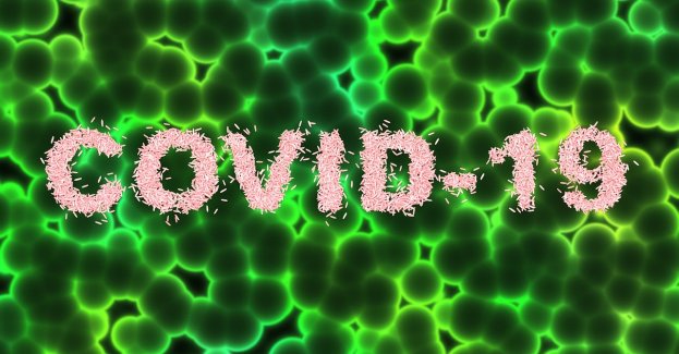 4 nowe zakażenia koronawirusem na Śląsku