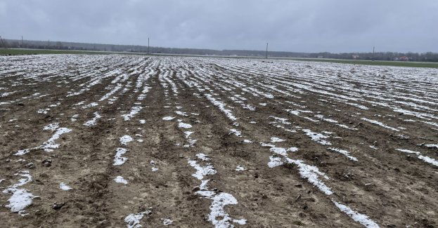 Z powodu małych opadów śniegu większość pól jest przesuszona