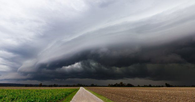 Ostrzeżenie dla południa regionu przed silnym wiatrem