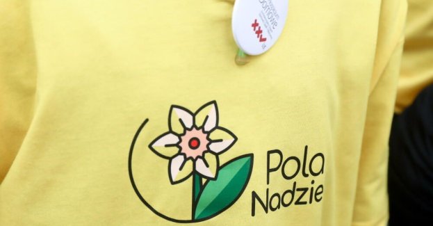 4 tys. wolontariuszy na pomorskim finale akcji "Pola nadziei na Pomorzu"