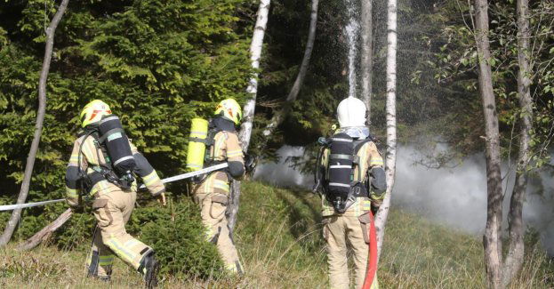 Trzech chłopców sprawcami pożaru lasu
