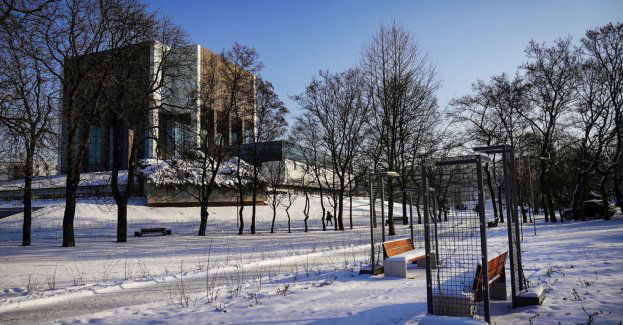 Dzięki Zielonemu Budżetowi odmieniamy kolejne przestrzenie w Katowicach