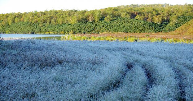 Ostrzeżenie przed przymrozkami na północy regionu