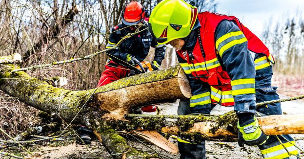 Ponad 400 interwencji związanych ze skutkami silnego wiatru