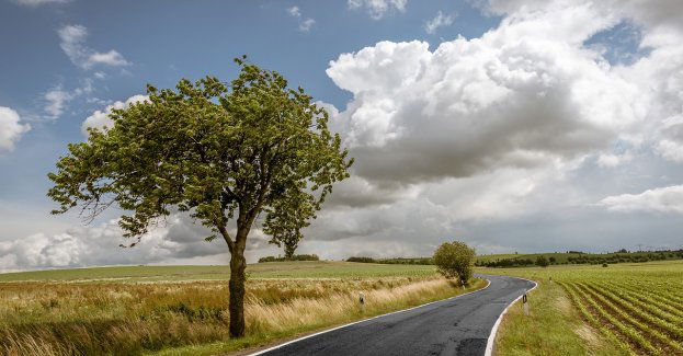 Poniedziałek dość pogodny i ciepły