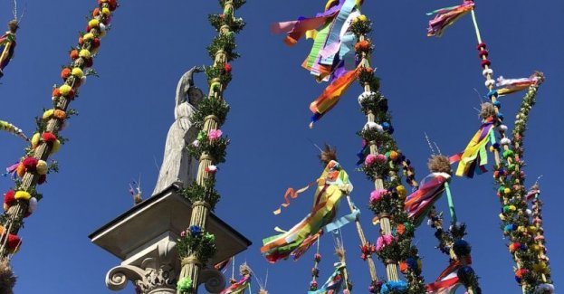 Rozstrzygnięty 65. Konkurs Lipnickich Palm, zwycięska praca ma ponad 27 m