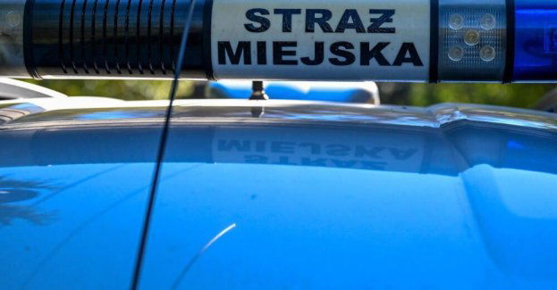 Z grządki na Polu Mokotowskim ogrodniczka wykopała pistolet
