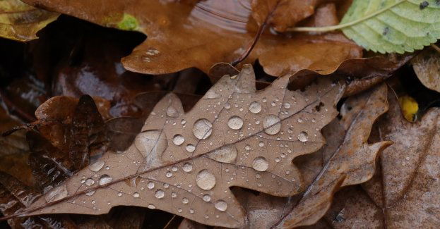 Na zachodzie kraju opady będą zanikać, silne deszcze pojawią się na północnym wschodzie