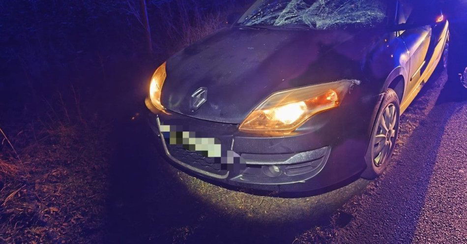 zdjęcie: Kilkanaście kolizji z dzikimi zwierzętami w powiecie sochaczewskim / fot. KPP w Sochaczewie
