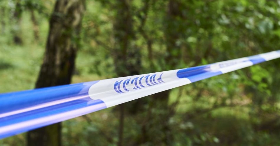 zdjęcie: Jest akt oskarżenia wobec 36-letniego Ukraińca ws. uszkodzenia studni głębinowej na terenie parku krajobrazowego w Sopocie / Gdańsk, 05.09.2017. W pasie nadmorskim gdańskiego parku Reagana przeprowadzane jest kolejne przeszukiwanie terenu związane z zaginięciem Iwony Wieczorek, 5 bm. Badanie wykonywane jest m.in. z pomocą georadaru. Młoda kobieta zaginęła 17 lipca 2010 r. (dk/doro) PAP/Dominik Kulaszewicz