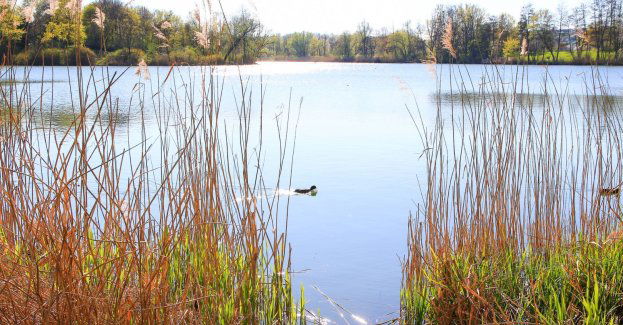 Nurek utonął na Zakrzówku; przyczynę śmierci zbada policja